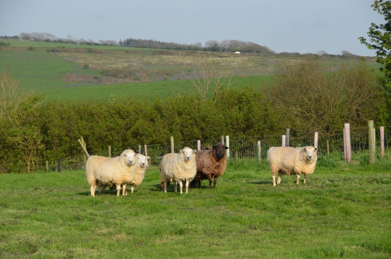 Top Parts Bed & Breakfast Bed & Breakfast Abbotsbury Eksteriør bilde