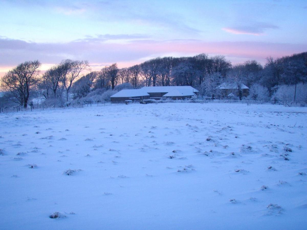 Top Parts Bed & Breakfast Bed & Breakfast Abbotsbury Eksteriør bilde